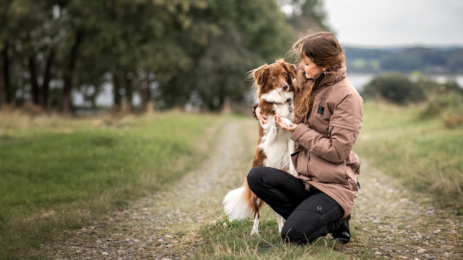 Dogcoach