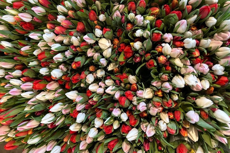 Maria's Blomster