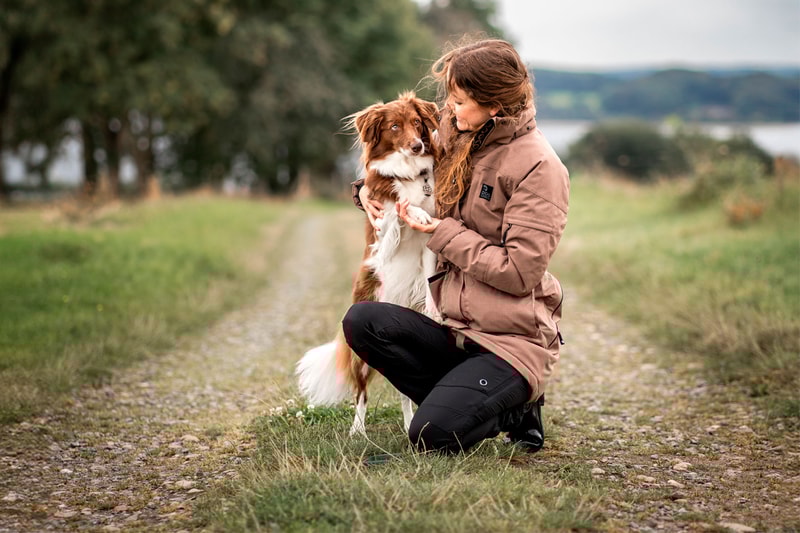 Dogcoach