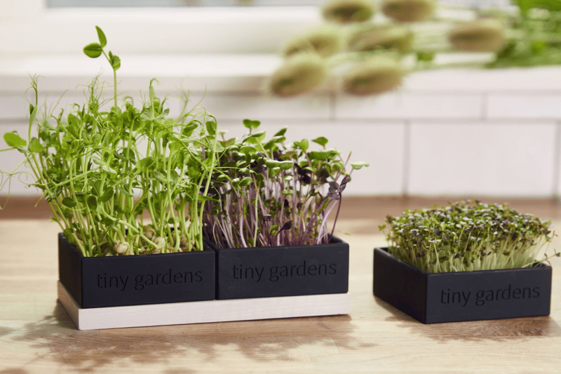 Tinygardens.dk 