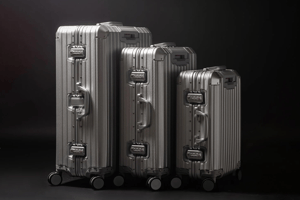 Nordic Case